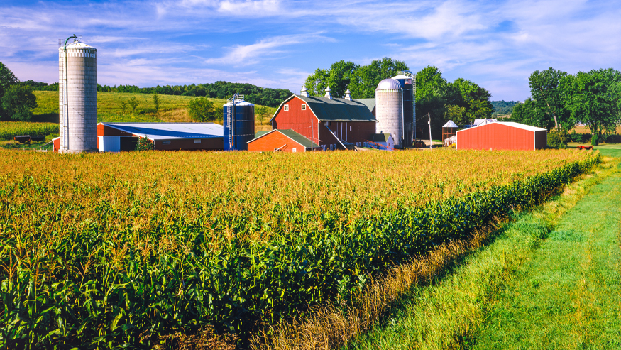 Exploring the Benefits of Owning Farm Land